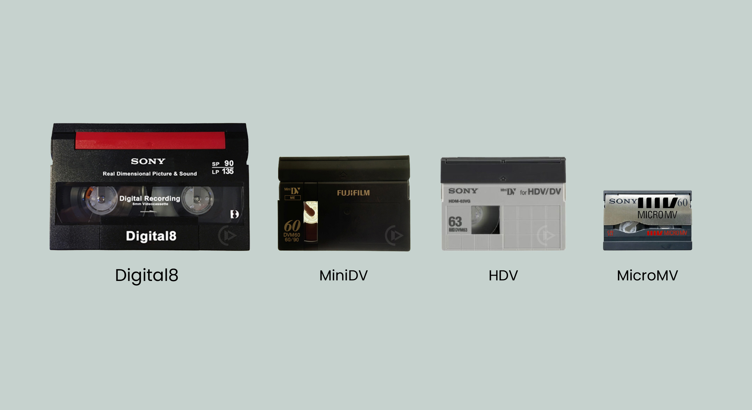Le Mini DV et le HDV partagent exactement le même boîtier Cassettes Digital 8, Mini DV, HDV et MicroMV côte à côte, à la même échelle